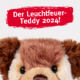 Am 14. November startet der Verkauf des Leuchtfeuer-Teddy 2024